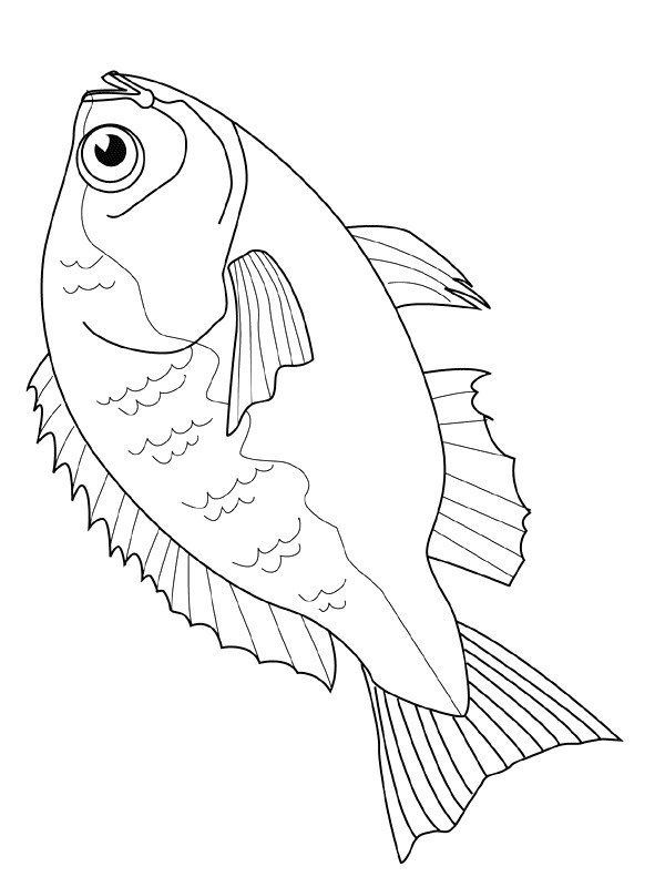 Plansa de colorat cu Pesti 65 92